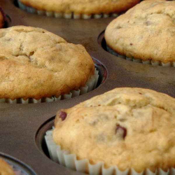 Banana Chocolate Chip Muffins