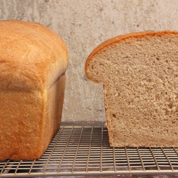 Honey Wheat Bread