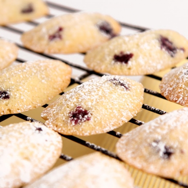 Lemon Blueberry Madeleines